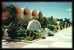 Airport Rooftop Garden