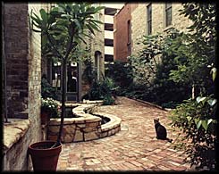 Downtown Courtyard