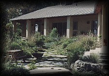 Xeriscape