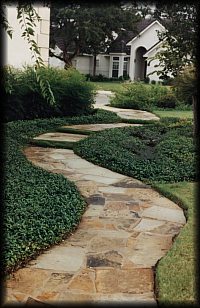 Formal Path