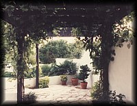 Grape Arbor